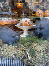 Cargar imagen en el visor de la galería, Coqueta de Sant Antoni
